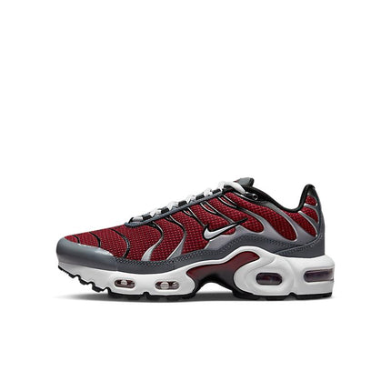 Air Max Plus Gris rouge/gris