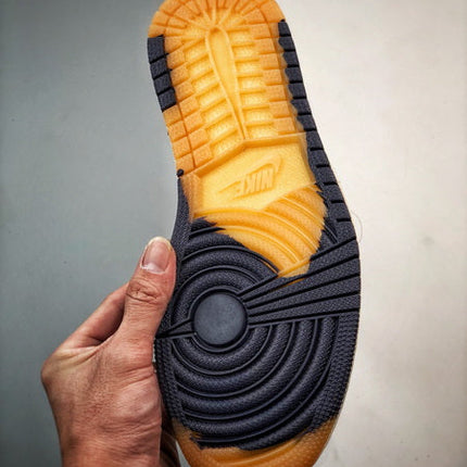 Air Jordan 1 High Element Gore-Tex