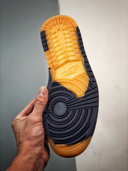 Air Jordan 1 High Element Gore-Tex