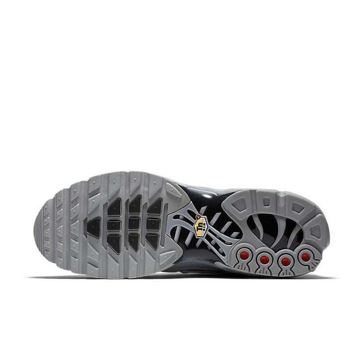 Air Max Plus Gris 3M