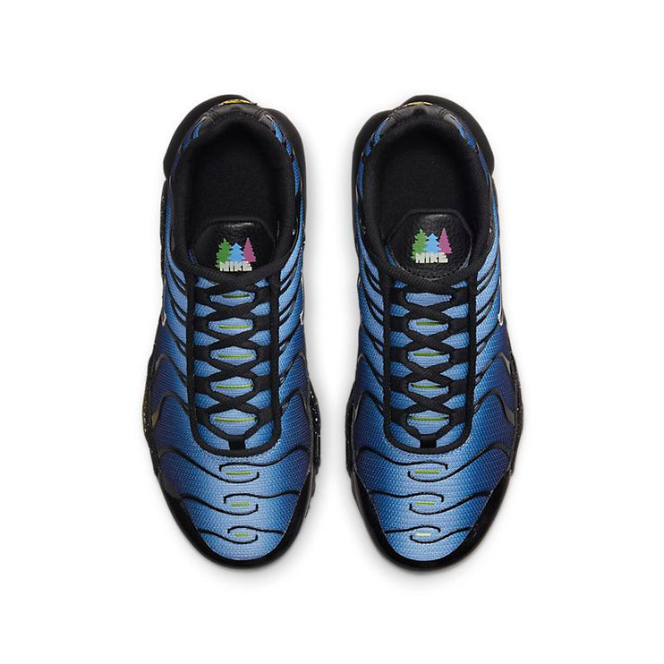 Nike Air Max Plus Blue Black