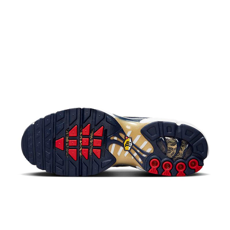 Nike Air Max Plus TN GS « FFF »