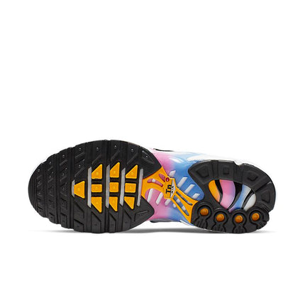 Nike Air Max Plus TN Summer Gradient