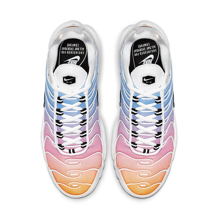 Nike Air Max Plus TN Summer Gradient