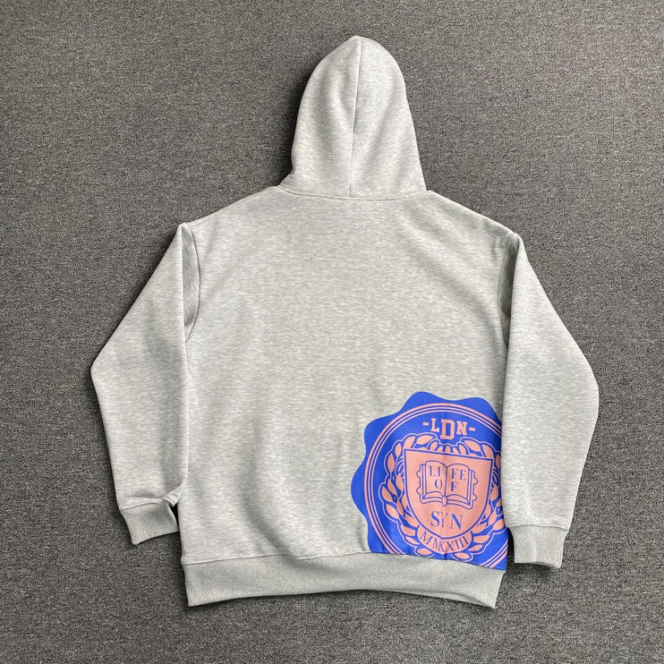 SWEAT À CAPUCHE SYNA WORLD COLLEGE GRIS
