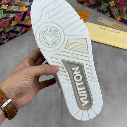 LOUIS VUITTON SKATE
