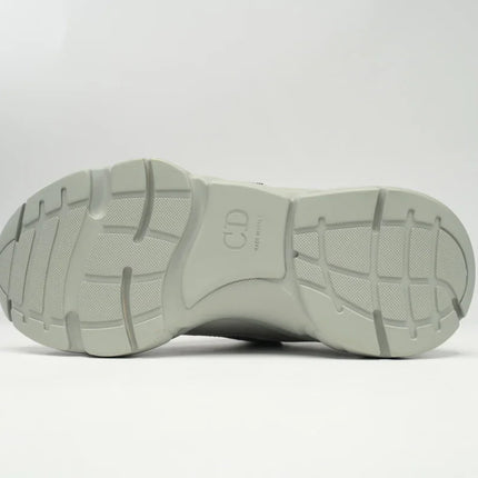 DIOR B22 GREY