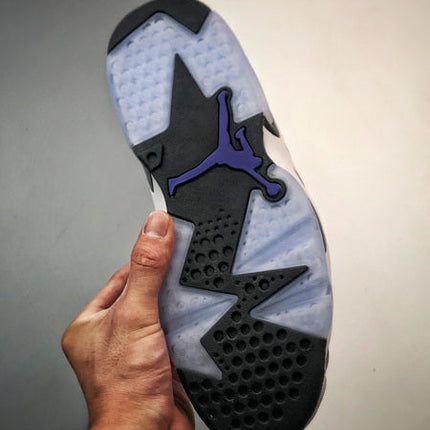 Jordan 6 Flint